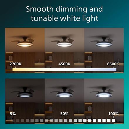 Philips Bliss DC stropní ventilátor a svítidlo 28W+35W černý