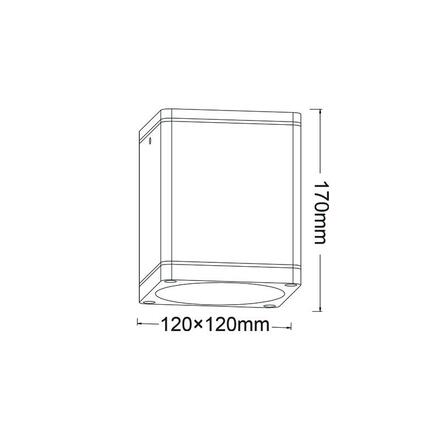 ACA Lighting E27 PAR30 venkovní hranaté stropní svítidlo 230V zlatá černá IP65 MAX.35W LG2402E27GB