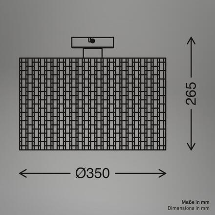 BRILONER Slama stropní svítidlo, stínidlo z mořské trávy, E27 patice, přírodní 3855014