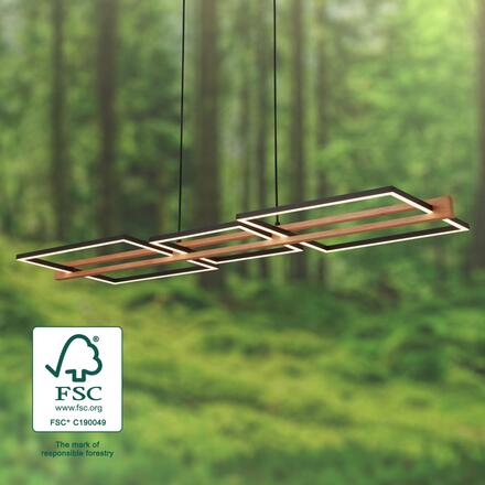 BRILONER Moldura LED závěsné svítidlo, dekor dřeva, stmívatelné, teplá bílá, černá 4842014