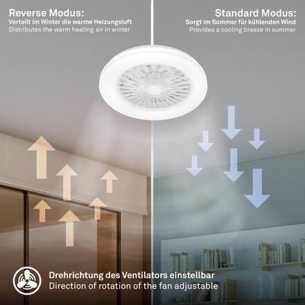 BRILONER LED stropní svítidlo s ventilátorem, 5 rychlostí, dálkový ovladač, CCT, bílé 3800016