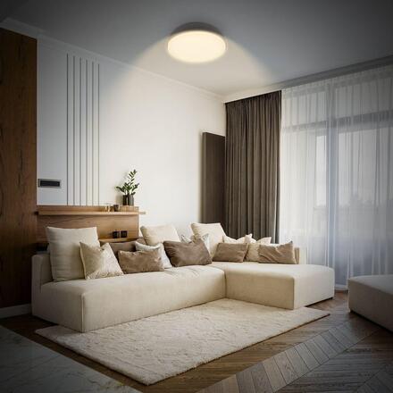 BRILONER Nikan stropní svítidlo pr.28,5 cm - 12W, 1200lm, LED, 3000K teplá bílá, antracit 3875015