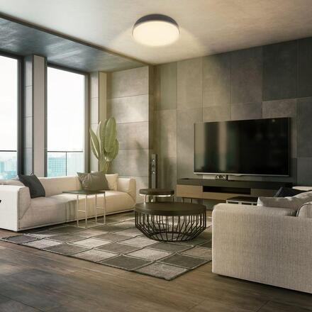 BRILONER Nikan stropní svítidlo pr.28,5 cm - 12W, 1200lm, LED, 3000K teplá bílá, antracit 3875015