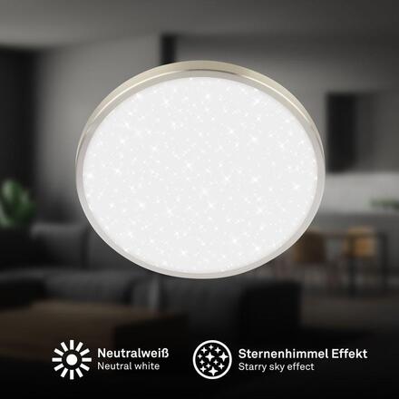BRILONER Competo stropní svítidlo pr.24 cm - 12W, 1300lm, LED, neutrální bílá, matný nikl 3902012