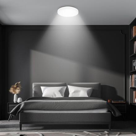 BRILONER Competo stropní svítidlo pr.24 cm - 12W, 1300lm, LED, neutrální bílá, bílé 3902016