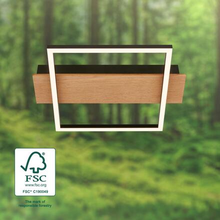 BRILONER Kada LED stropní svítidlo, dekor dřeva, teple bílé světlo, hranaté 34x26 cm, černá/dřevo 3909014