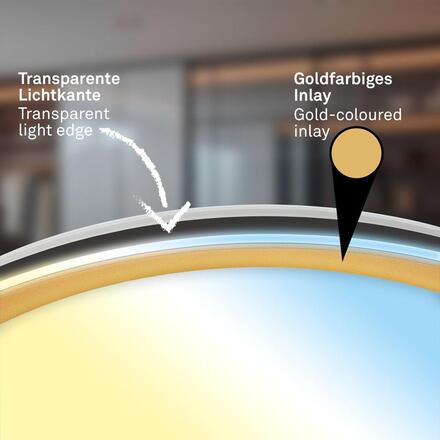 BRILONER Gima stropní svítidlo pr.51 cm - 48W, 5200lm, LED, stmívatelné, dálkový ovladač, CCT, černá/zlatá 3943015