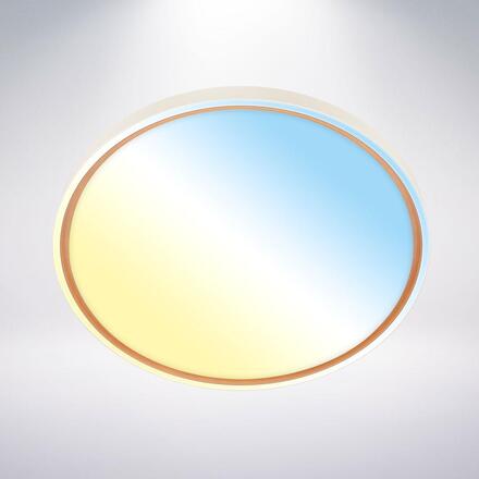 BRILONER Ina stropní svítidlo pr.49 cm - 48W, 5200lm, stmívatelné, LED, dálkový ovladač, CCT, kávová 3956014