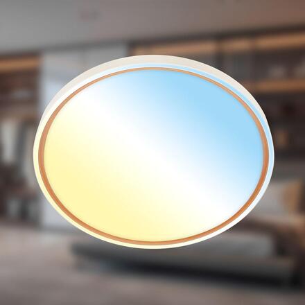 BRILONER Ina stropní svítidlo pr.49 cm - 48W, 5200lm, stmívatelné, LED, dálkový ovladač, CCT, kávová 3956014