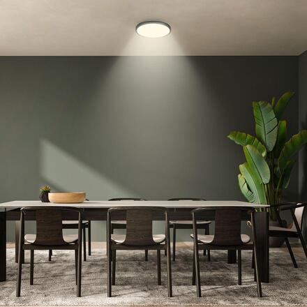 BRILONER Nobre stropní svítidlo pr.24 cm - 10,5W, 1200lm, teplá bílá, LED, černé 3960015