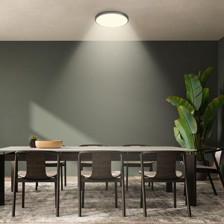 BRILONER Nobre stropní svítidlo pr.33 cm - 17,5W, 2400lm, teplá bílá, LED, černá 3961015