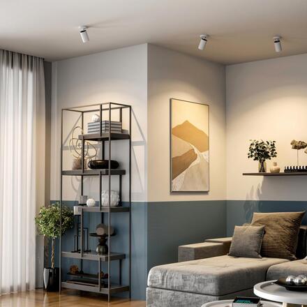 Deko-Light stropní přisazené svítidlo - Can Tilt kulaté, 1x 7,5 W GU10, bílá 348251