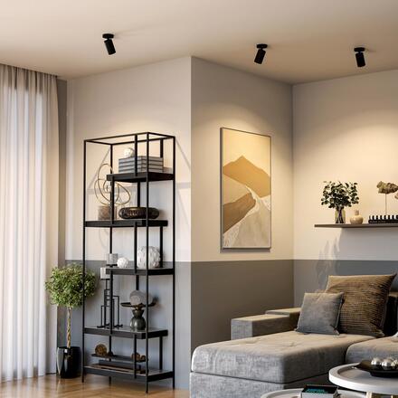 Deko-Light stropní přisazené svítidlo - Can Tilt kulaté, 1x 7,5 W GU10, černá 348252