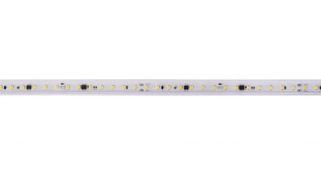 Deko-Light flexibilní LED pásek 2835-84-230V-4000K-50m-PVC Extrusion 220-240V AC/50-60Hz 14,00 W/m 4000 K 1596 lm/m 50000 mm 840389
