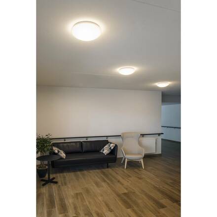 BIG WHITE LIPSY 50 Dome LED, venkovní nástěnné a stropní nástavbové svítidlo, bílá, IP44, 3000/4000K 1002022