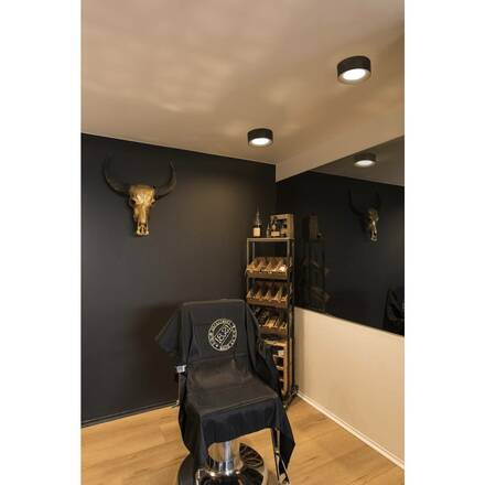 BIG WHITE FERA 25 CL DALI Indoor, stropní LED svítidlo, černé 1002968