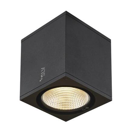 BIG WHITE ENOLA SQUARE M Outdoor, stropní LED svítidlo, antracitové 1003421