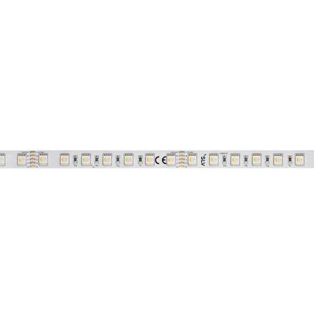 BIG WHITE GRAZIA PRO FLEXSTRIP 24 V 12 mm RGBW 1004727