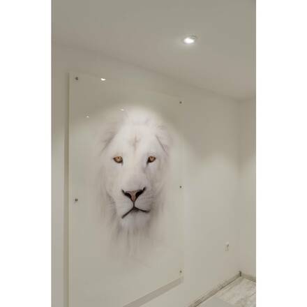 BIG WHITE (SLV) NEW TRIA 75 kroužek pro vestavbu do stropu, D: 9,3 H: 2,6 cm, IP 20, bílá 1007342