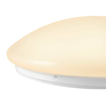 BIG WHITE (SLV) SURFACE V 390 10/15/20W 830/840 IP44 1007516