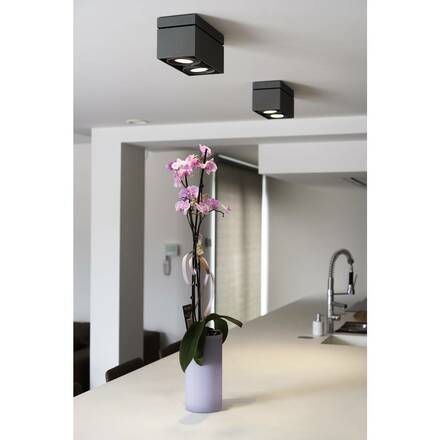 BIG WHITE KARDAMOD, stropní svítidlo, dvě žárovky, QPAR111, obdélníkové, černé matné, max. 150 W 117110