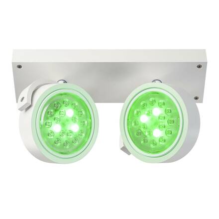 BIG WHITE KALU, nástěnné a stropní svítidlo, dvě žárovky, QPAR111, kulaté, bílé matné, max. 150 W 147311