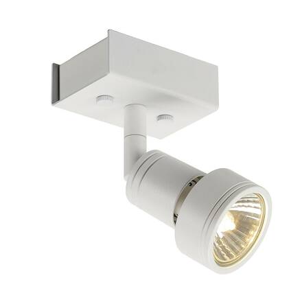 BIG WHITE PURI 1, nástěnné a stropní svítidlo, jedna žárovka, QPAR51, bílé matné, max. 50 W, s dekoračním kroužkem 147361