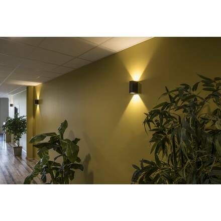 BIG WHITE QUAD 2 XL, nástěnné svítidlo, LED, 3000K, IP44, hranaté, up/down, antracit, 3,2 W 232445