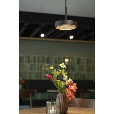 BIG WHITE (SLV) GRIP! FLAT závěsné svítidlo, PHASE, 2700/3000 K, černá / zlatá 1009014