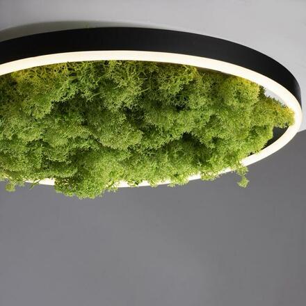 LEUCHTEN DIREKT is JUST LIGHT LED stropní svítidlo 40x40 Island Moos Switchmo 3 krokové stmívání krokově stmívatelné 3000K LD 15391-66