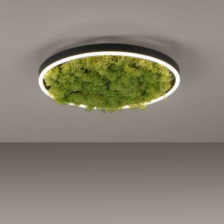 LEUCHTEN DIREKT is JUST LIGHT LED stropní svítidlo 40x40 Island Moos Switchmo 3 krokové stmívání krokově stmívatelné 3000K LD 15391-66