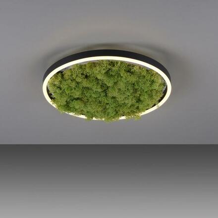 LEUCHTEN DIREKT is JUST LIGHT LED stropní svítidlo 40x40 Island Moos Switchmo 3 krokové stmívání krokově stmívatelné 3000K LD 15391-66