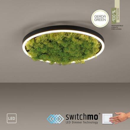 LEUCHTEN DIREKT is JUST LIGHT LED stropní svítidlo 40x40 Island Moos Switchmo 3 krokové stmívání krokově stmívatelné 3000K LD 15391-66