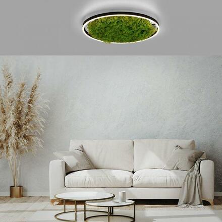 LEUCHTEN DIREKT is JUST LIGHT LED stropní svítidlo 60x60 Island Moos Switchmo 3 krokové stmívání krokově stmívatelné 3000K LD 15392-66