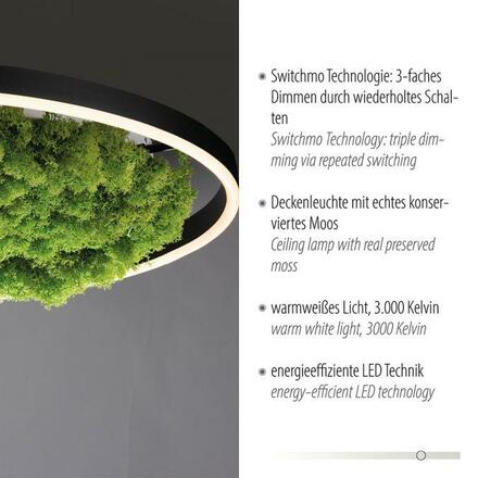 LEUCHTEN DIREKT is JUST LIGHT LED stropní svítidlo 60x60 Island Moos Switchmo 3 krokové stmívání krokově stmívatelné 3000K LD 15392-66