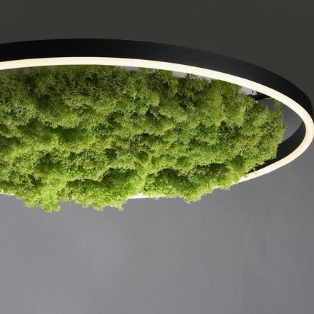 LEUCHTEN DIREKT is JUST LIGHT LED stropní svítidlo 60x60 Island Moos Switchmo 3 krokové stmívání krokově stmívatelné 3000K LD 15392-66