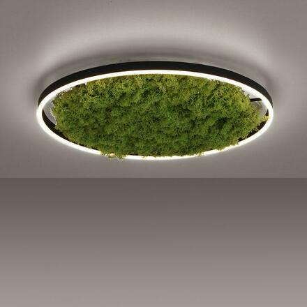 LEUCHTEN DIREKT is JUST LIGHT LED stropní svítidlo 60x60 Island Moos Switchmo 3 krokové stmívání krokově stmívatelné 3000K LD 15392-66