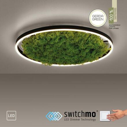 LEUCHTEN DIREKT is JUST LIGHT LED stropní svítidlo 60x60 Island Moos Switchmo 3 krokové stmívání krokově stmívatelné 3000K LD 15392-66