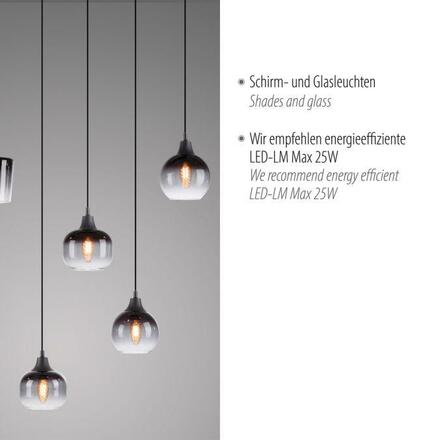 LEUCHTEN DIREKT is JUST LIGHT závěsné svítidlo černé 6-ramenné kouřové sklo moderní do interiéru LD 15425-18