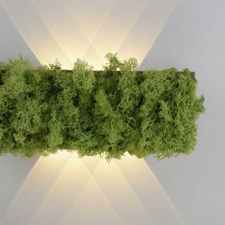 LEUCHTEN DIREKT is JUST LIGHT LED nástěnné svítidlo islandský mech hra světla teplé bílé světlo do interiéru 3000K LD 15637-66