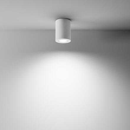 MAYTONI Stropní svítidlo Atom C016CL-01W