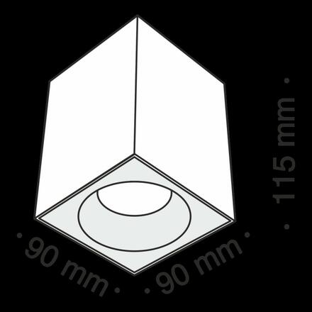 MAYTONI Stropní svítidlo Zoom C030CL-01W
