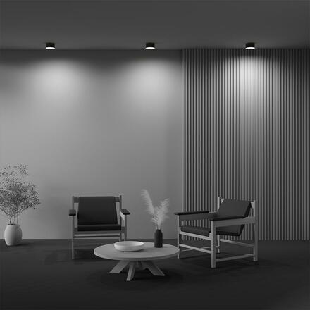MAYTONI Stropní svítidlo Zon 12W 120d C032CL-12W3K-RD-B