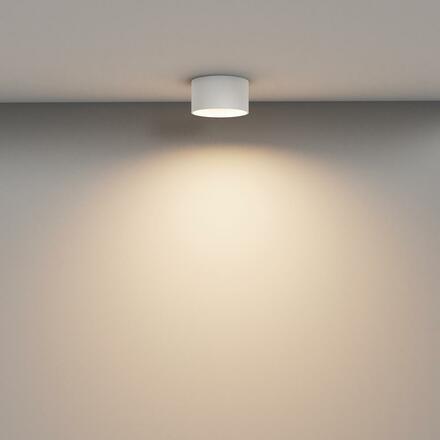 MAYTONI Stropní svítidlo Vega 12W 110d C089CL-12W3K-W