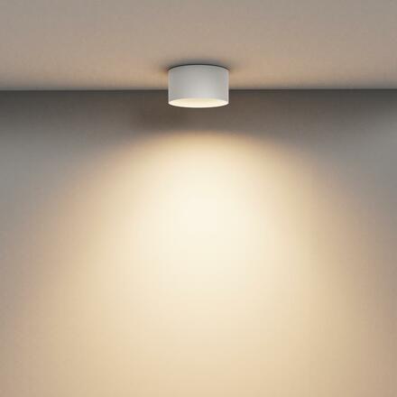 MAYTONI Stropní svítidlo Vega 15W 110d C089CL-15W3K-W