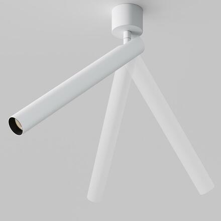MAYTONI Stropní svítidlo Focus T 6W 36d C141CL-L300-6W3K-W