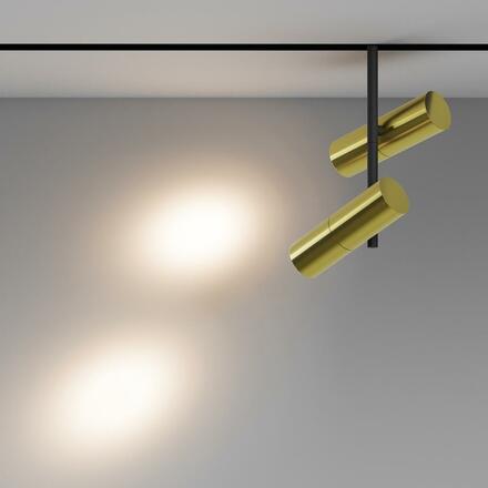 MAYTONI Svítidlo do kolejnice Elti Duo Exility 2700-6000K 24W 36d Dim Smart TR005-4-2X12W-DS-BBS