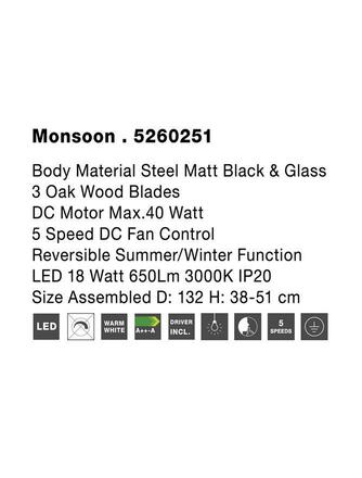 NOVA LUCE stropní ventilátor se světlem MONSOON tělo z oceli matná černá a sklo 3ABS dřevěné listy LED 18W 3000K 5260251