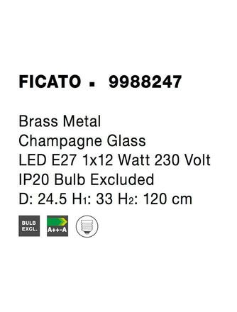 NOVA LUCE závěsné svítidlo FICATO mosazný kov šampaň sklo E27 1x12W 230V IP20 bez žárovky 9988247