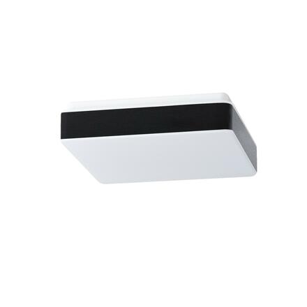OSMONT TIL52606 TILIA C1 stropní/nástěnné plastové svítidlo IP44 2x25W E27